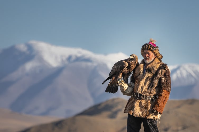 Old traditional kazakh eagle hunter.